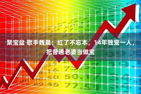 聚宝盆 歌手魏晨：红了不忘本，14年独宠一人，把普通老婆当做宝