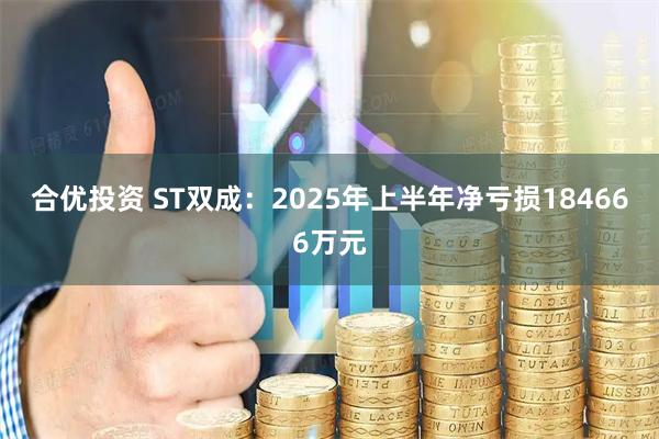 合优投资 ST双成：2025年上半年净亏损184666万元