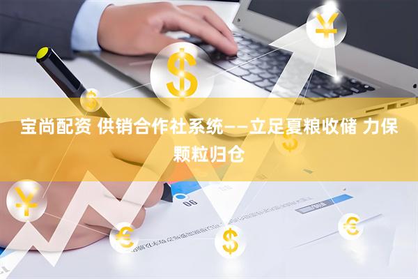 宝尚配资 供销合作社系统——立足夏粮收储 力保颗粒归仓